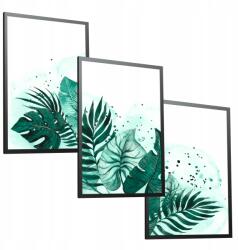  Levelek Zöld Monstera 3 db-os poszter szett 50x70