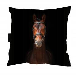  Ló Párna Ló 40x40 barna ló Ajándék (PODUSZKA Z KONIEM BIAŁYM do spania)