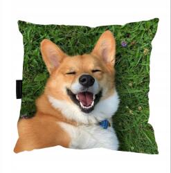  Corgim Kutyapárna 40x40 alváshoz Ajándék