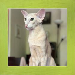 Marek & Darek Keret felakasztásra vagy elhelyezésre kész 20X20 fa 3 cm (5904996596149)