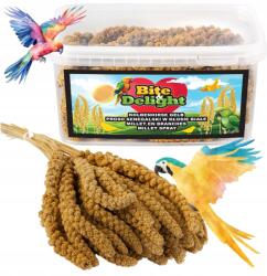  Szenegáli Fehér Köles 3KG Tiszta Kalászok Madaraknak Papagájoknak Vödör