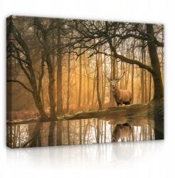 Wallarena Vászonkép Szarvas Erdő Fák Hálószoba 60x40 (Obraz Jeleń Las Drzewa Natura PP14520O4)