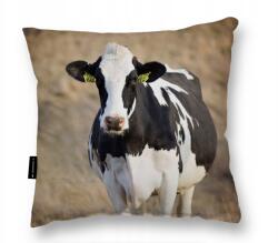  Tehén Párna 40x40 Ajándék puha párna (PODUSZKA Z KROWĄ KROWA 40x40 do spania)