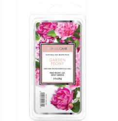 Colonial Candle Szójaviasz illatgyertya Bazsarózsa 77g Colonial Candle (665098520375)