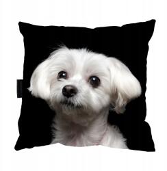  Máltai Kutyapárna 40x40 Tökéletes Ajándék (jamnikszary)