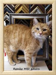 Marek & Darek Klasszikus képkeret falra és elhelyezésre 15x21 fa (5904996592332)