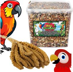  Karma Nagy Papagájoknak 10L Fehér Senegáli Köles 1KG