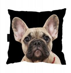  Francia bulldog párna, ajándéknak is tökéletes (bul1)