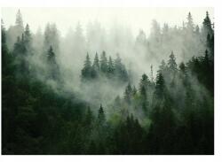 Wallarena Vinil Tapéta Vékony Szövet Alapon, Strukturált, Fenyőerdő Ködben, 460x300 (CA13026W12)