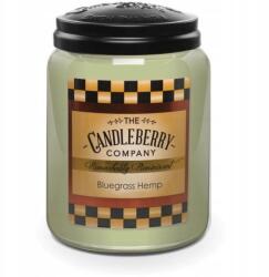 Candleberry Illatos gyertya üvegben, friss, gyümölcsös Bluegrass Hemp Candleberry 570 g (642897401340)