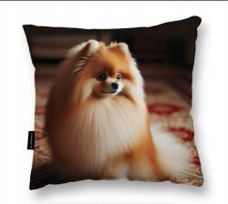  Pomeranian kutyapárna 40x40 tökéletes Ajándék gomeránia kutya (pomeranian3)