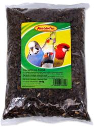 AVICENTRA Floarea soarelui Avicentra neagra 500g (722-3322)