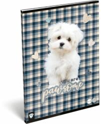 Lizzy Card Füzet tűzött A/4 vonalas 81-32 Kis Bagoly Pawsome (22977347)