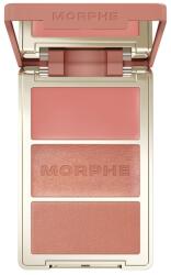 Morphe CHEEK THRILLS MULTI-FINISH FACE TRIO - HONEYMOON SUITE After Party 10.8 g