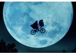  Plakát The Extra Terrestrial, 61x90cm, poszter1282, Többszínű (poster1282)