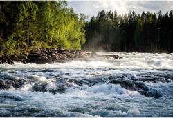 Vászonkép Fast Flowing River In the Mountains, 80x50cm, tabloucanvas917, Többszínű (tabloucanvas917/50x80cm)