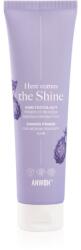 Anwen Here Comes The Shine Shining Primer For Medium Porosity Hair Egységesítő sminkalap hajra 100 ml