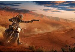  Poszter 2022 Tom Clancys Rainbow Six Siege, 61x90 cm, poszter2194, többszínű (poster2194)