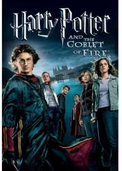  Harry Potter Poszter And The Goblet Of Fire, 61x90cm, Többszínű (poster229-7777777777777785556)