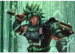  Dragon Ball Z Samurai Broly poszter, 61x90 cm, poszter 2928, többszínű (poster2928)