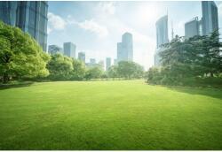  Vászonfestmény Green Space In Central Shanghai, 80x50cm, canvas432, Multicolor (tabloucanvas432/50x80cm)