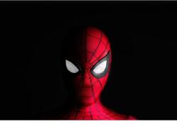  Poszter Pókember önarckép, 61x90 cm, poszter1830, többszínű (poster1830)