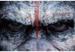  The Planet Of The Apes Poszter, 61x90cm, Többszínű (poster296-7777777777777785623)