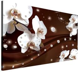 DEGRETS Vászonkép DEGRETS 78059, 75x100cm (78059)