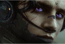 Dune X Cyberpunk Poszter, 61x90cm, poster827, Többszínű (poster827-7777777777777786424)