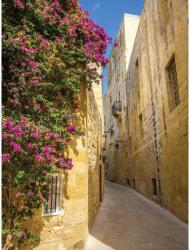 DEGRETS Fotótapéta DEGRETS 83345 Átjáró 2 3D, 254x184cm (83345)