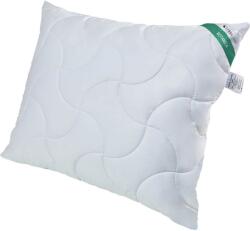 SENNA Párna, Senna, 70X80, fehér (198041)
