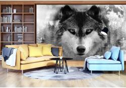 DEGRETS Fotótapéta DEGRETS 83498 Farkas, 184x254cm (83498)