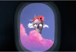  Skull From Flight Poszter, 61x90cm, poster804, Többszínű (poster804-7777777777777786402)