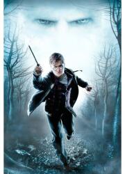  Harry Potter Deathly Hallows Poszter, 61x90cm, Többszínű (poster182-7777777777777785510)