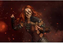  Aela Skyrim Poszter, 61x90cm, poster546, Többszínű (poster546-7777777777777786666)