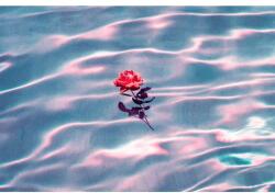  Poszter Love Underwater, 61x90cm, poszter2948, Többszínű (poster2948)