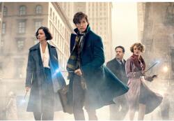 Fantastic Beasts And Where To Find Them Poszter, 61x90cm, Többszínű (poster226-7777777777777785553)