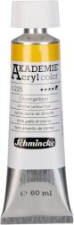 Schmincke Akademie АКРИЛНА боя 225 Chrome Yellow Hue 60 ml 1 бр (75.3008)