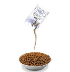 Purina Pro Plan Supliment pentru pisici Pro Plan FortiFlora Probiotic 1 plic x 1 gr