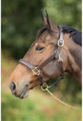 HFI Bőr, párnázott kötőfék ló számára nagyló barna