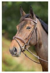 HFI Lovagló zablák COB barna - decathlon - 46 390 Ft