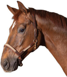 Harrys Horse Bőr lózablak Harry's Horse Flash COB barna