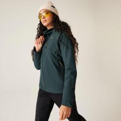Dare2b Wmn Torrek II Jkt Női túra-esőkabát 30/30 000 mm zöld