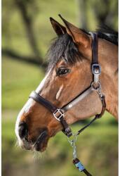 HFI Bőr lózabla COB barna|kék