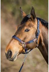 HFI Nylon kötéllel ellátott lózablak HFI Neoprene Smart COB barna|kék