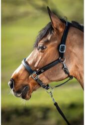 HFI Bőr lózabla nagyló fekete|kék