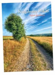 Avanti 2026-OS Fali Naptár Lengyel Tájképek (KSMS-1)