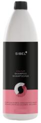 Sibel Colour utazó sampon festett hajra, 100 ml - hajvarazs