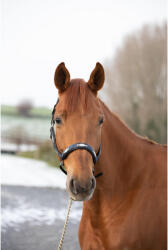 HFI Bőr lózablak kék