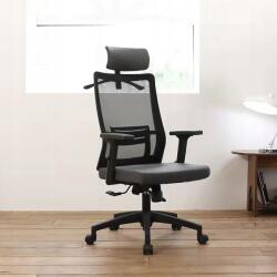  Ergonomikus irodai szék G31 LB31HB, forgatható, hálós, diákoknak (DE-G31)